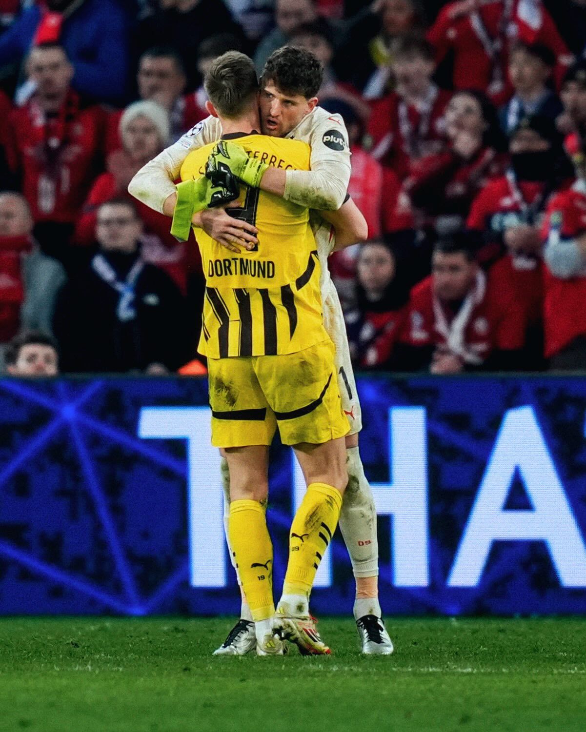 塔木德名言200句-球速官方注册